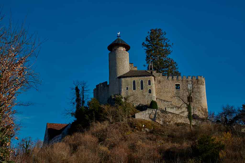 Castles in Switzerland Birseck-Castle