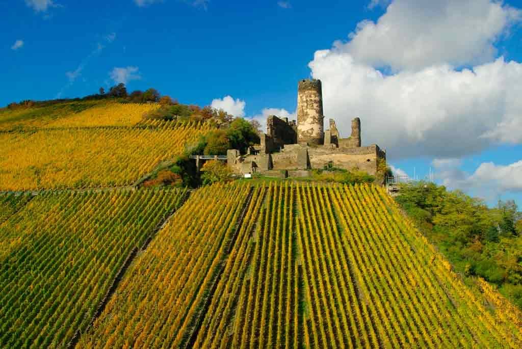 Castles in Rhine-Fürstenberg-Ruin