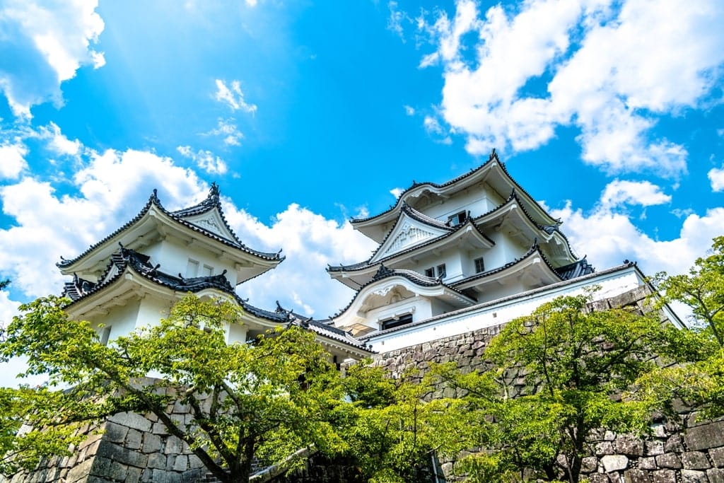 Ueno Castle - best castles in Japan