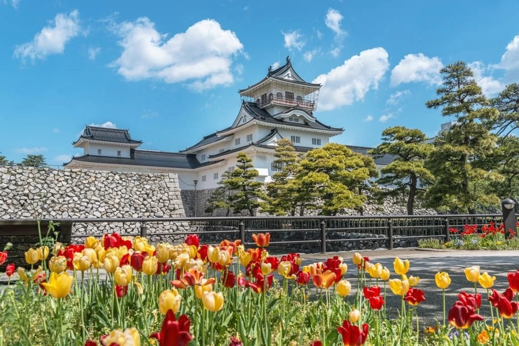 Toyama Castle  - best castles in Japan